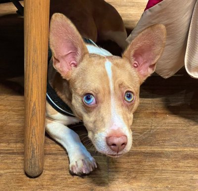 Watch Radagonnn86's leaked NSFW photo on TwXstars