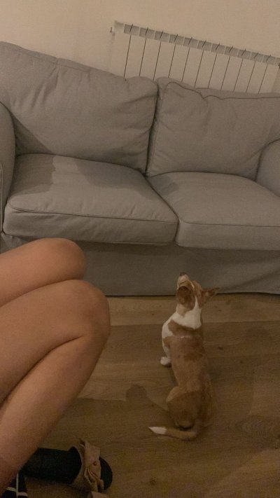 Watch Radagonnn86's leaked NSFW photo on TwXstars