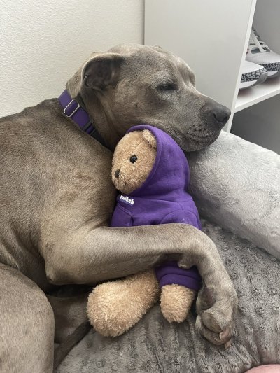 Watch Towelliee's leaked NSFW photo on TwXstars