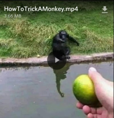 Watch VL ♠️'s leaked NSFW photo on TwXstars