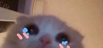 Watch Blodvy's leaked NSFW photo on TwXstars