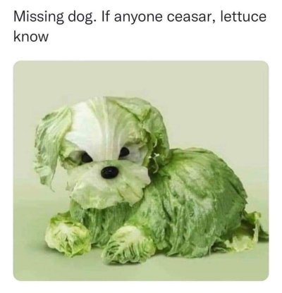 Watch #WhoreChata's leaked NSFW photo on TwXstars