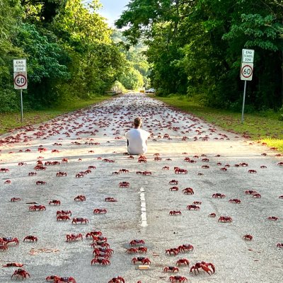 Watch Australia's leaked NSFW photo on TwXstars