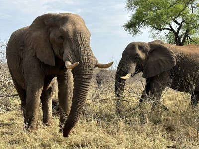 Watch Supercopines's leaked NSFW photo on TwXstars