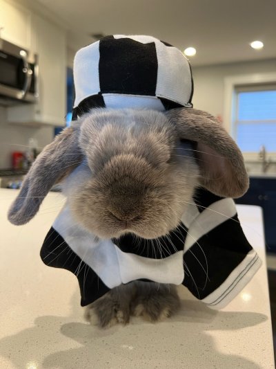 Watch Erik Jones's leaked NSFW photo on TwXstars