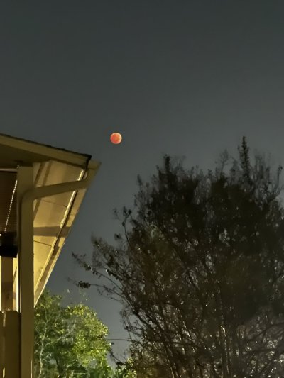 Watch ⏰ B̶U̶N̶N̶Y̶ 🐇's leaked NSFW photo on TwXstars