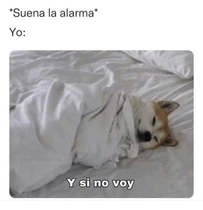 Watch Danyancat 🐰's leaked NSFW photo on TwXstars