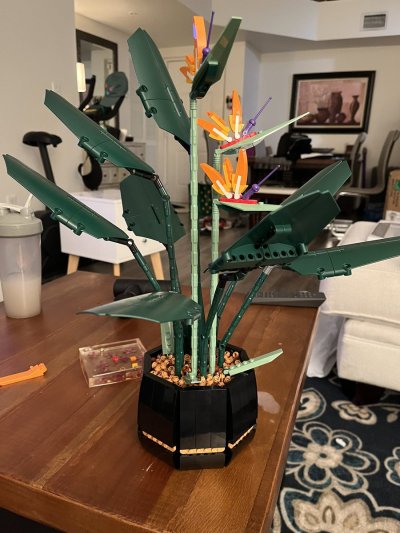 Watch raticoncito's leaked NSFW photo on TwXstars