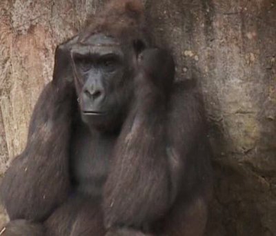 Watch raticoncito's leaked NSFW photo on TwXstars