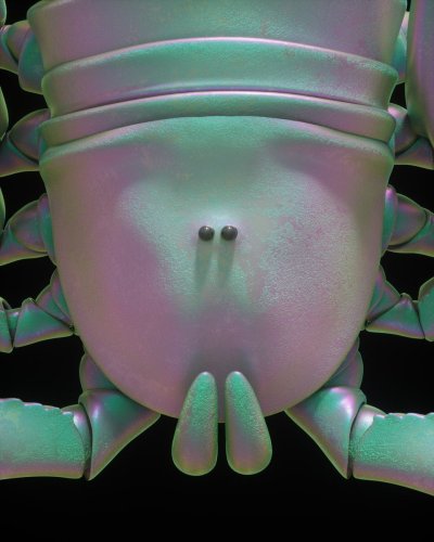 Watch Drake's leaked NSFW photo on TwXstars