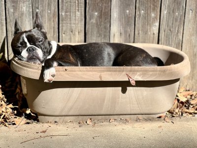 Watch Gia DiMarco ✨'s leaked NSFW photo on TwXstars