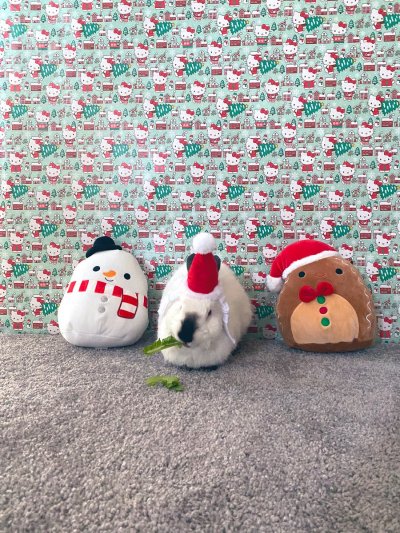 Watch MuscleMommyCosplays (🍑Linnea)'s leaked NSFW photo on TwXstars