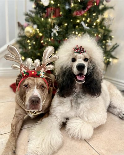 Watch ProFotoX's leaked NSFW photo on TwXstars