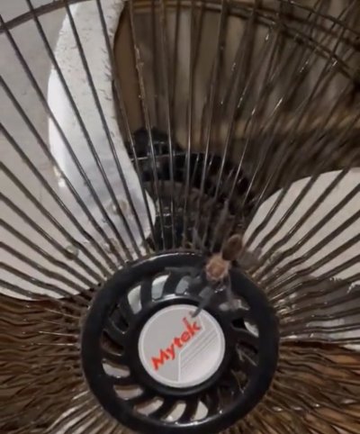 Watch • K A L I •'s leaked NSFW photo on TwXstars