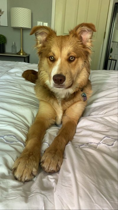 Watch Steph in Space (0.5% OF//0.2% FANSLY)'s leaked NSFW photo on TwXstars