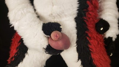 Watch Cenny After Bark's leaked NSFW photo on TwXstars