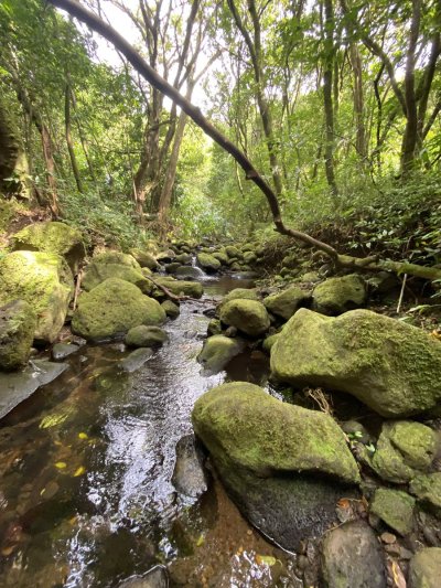 Watch TAYLOR WHITE's leaked NSFW photo on TwXstars