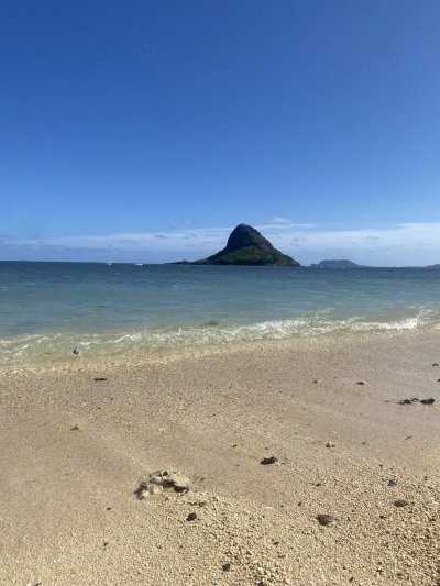 Watch TAYLOR WHITE's leaked NSFW photo on TwXstars