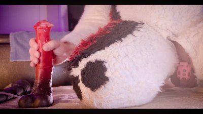 Watch Cenny After Bark's leaked NSFW photo on TwXstars