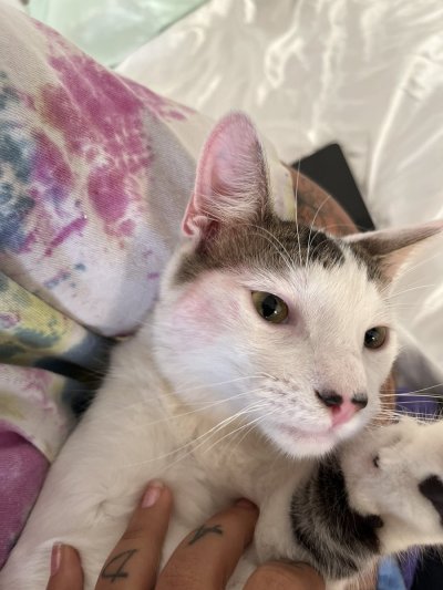 Watch Tokischa Peralta's leaked NSFW photo on TwXstars