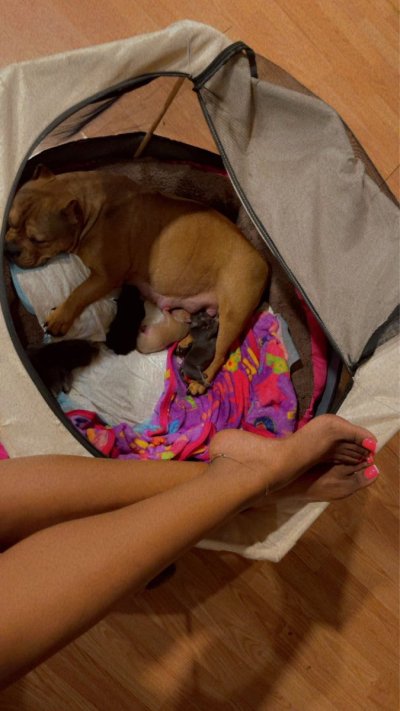 Watch QUEEN 💋❤️'s leaked NSFW photo on TwXstars