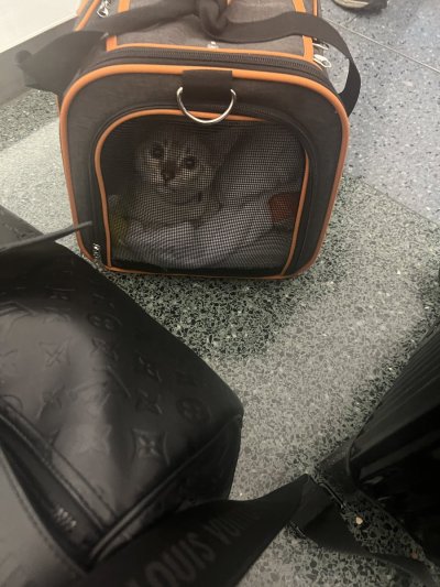 Watch ROMANTODD, LLC's leaked NSFW photo on TwXstars