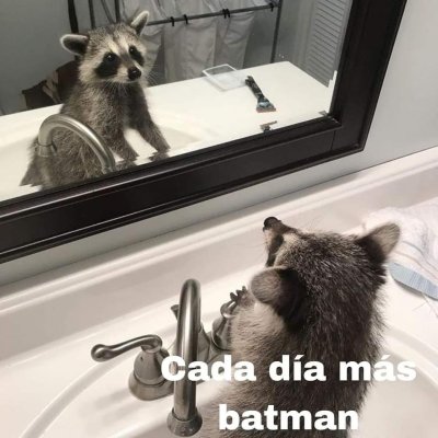 Watch elenita's leaked NSFW photo on TwXstars