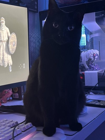 Watch ❀ K I R B E E ❀'s leaked NSFW photo on TwXstars