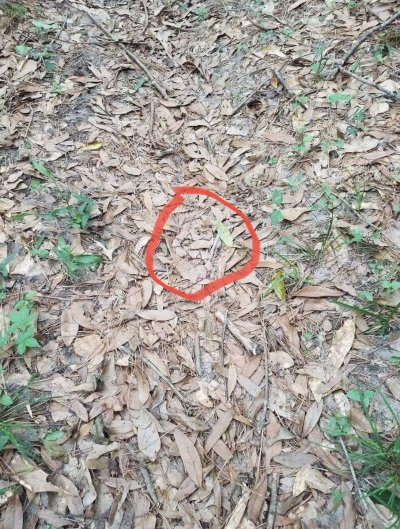 Watch ROMANTODD, LLC's leaked NSFW photo on TwXstars