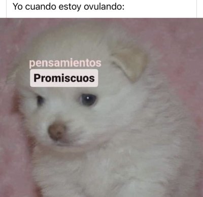 Watch elenita's leaked NSFW photo on TwXstars