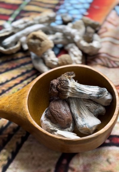 Watch God IS ☥'s leaked NSFW photo on TwXstars