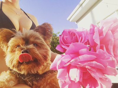 Watch Lexi Belle's leaked NSFW photo on TwXstars