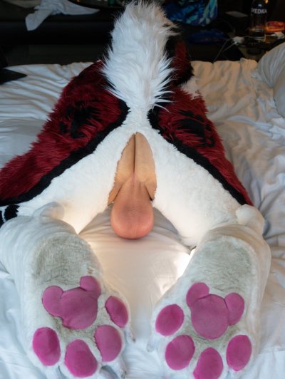 Watch Cenny After Bark's leaked NSFW photo on TwXstars