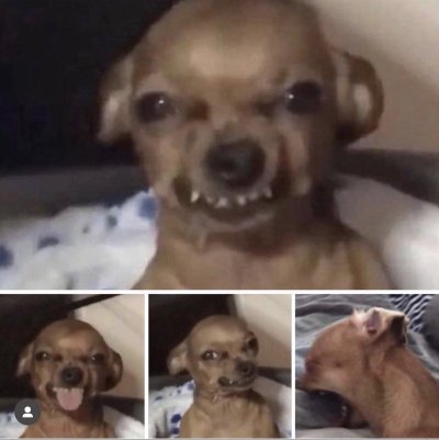 Watch 🎀Dayaanna Perez Sosa🎀's leaked NSFW photo on TwXstars