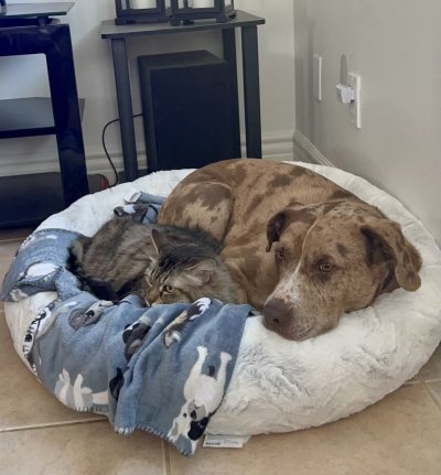 Watch ProFotoX's leaked NSFW photo on TwXstars