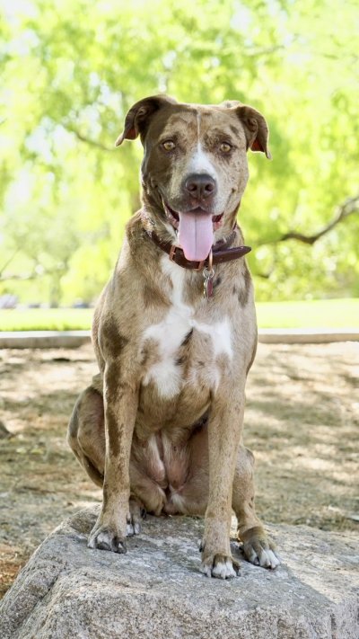 Watch ProFotoX's leaked NSFW photo on TwXstars