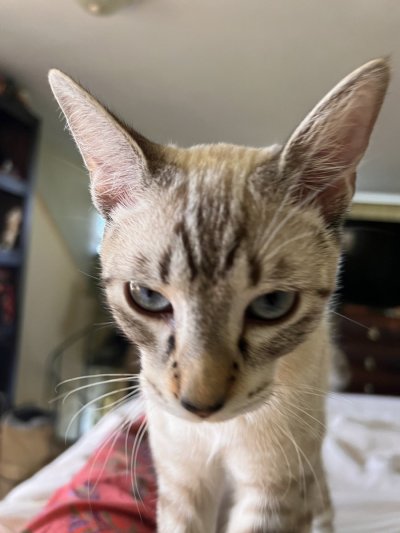 Watch Molly Pills's leaked NSFW photo on TwXstars