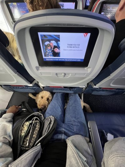 Watch Tarek Ali Ellis's leaked NSFW photo on TwXstars