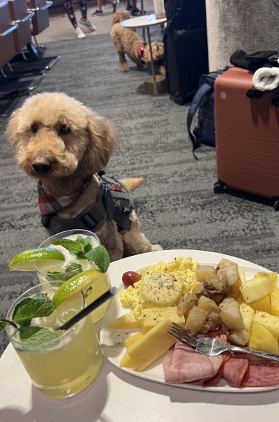 Watch Tarek Ali Ellis's leaked NSFW photo on TwXstars