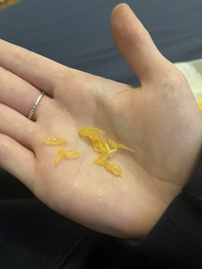 Watch hickey's leaked NSFW photo on TwXstars