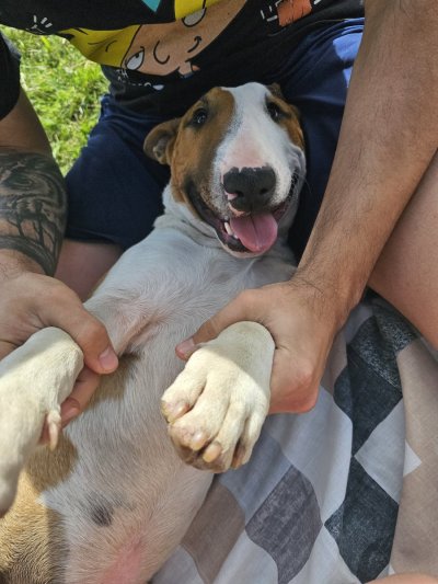 Watch Emma Fiore 🔞 🇦🇷's leaked NSFW photo on TwXstars