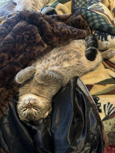 Watch Hannah Hedon's leaked NSFW photo on TwXstars