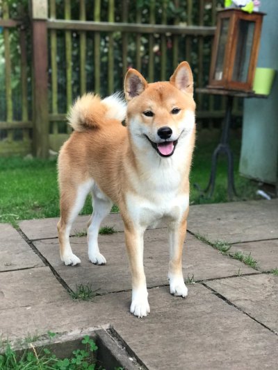 Watch Antonio's leaked NSFW photo on TwXstars