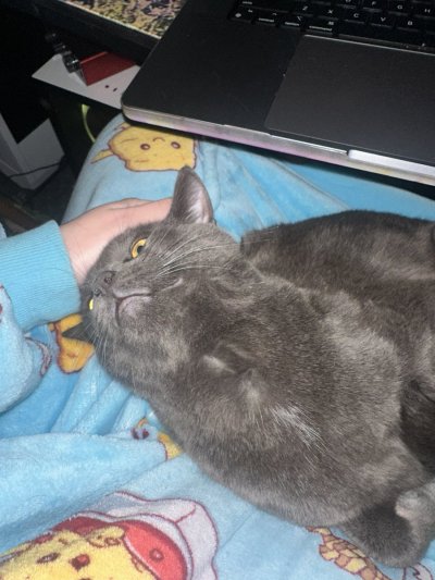 Watch Hannah Hedon's leaked NSFW photo on TwXstars