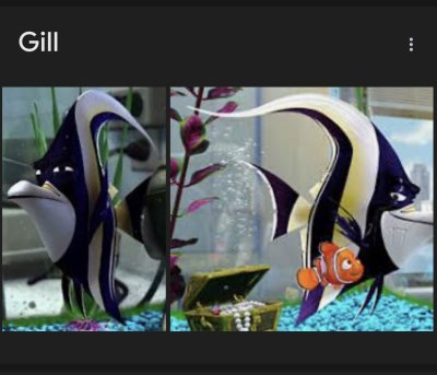 Watch Faye ♡'s leaked NSFW photo on TwXstars