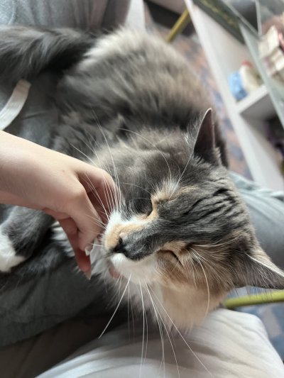 Watch ess's leaked NSFW photo on TwXstars