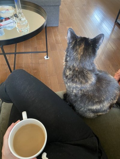 Watch big honkin caboose's leaked NSFW photo on TwXstars