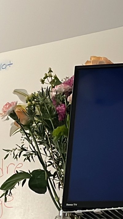 Watch 🤫🤫🤫🫠's leaked NSFW photo on TwXstars