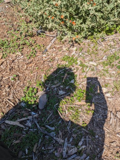 Watch Dominique Rystan's leaked NSFW photo on TwXstars