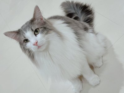 Watch 𓆟uri 𓆟's leaked NSFW photo on TwXstars